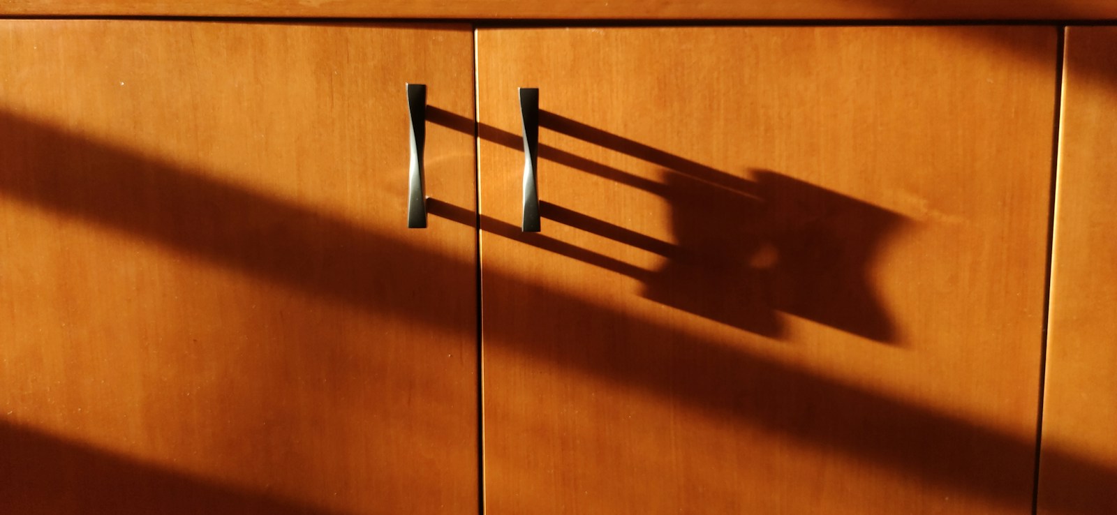 Cabinet pulls on warm wood cabinetry