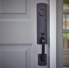 Delaney bronze entry handleset on a paneled door